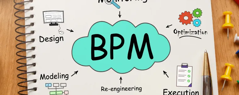 Business Process Management (BPM)