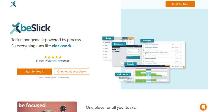 Business Process Management Tool-Process Bliss