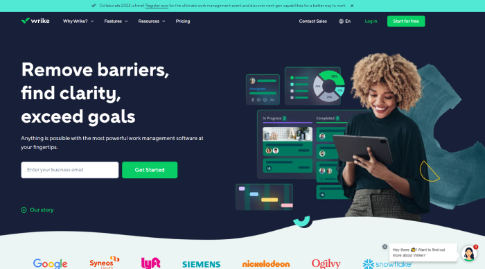 Business Process Management Tool-Wrike